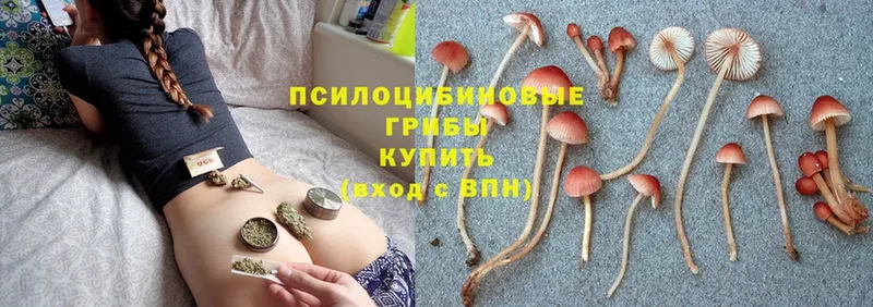 KRAKEN онион  Северобайкальск  Псилоцибиновые грибы Cubensis 